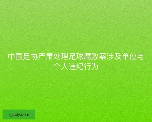 中国足协严肃处理足球腐败案涉及单位与个人违纪行为