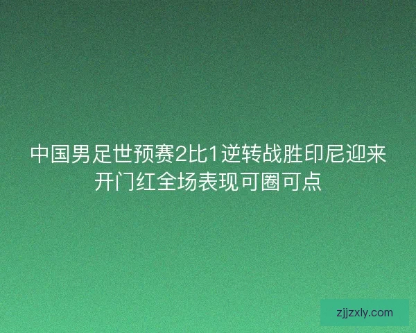 中国男足世预赛2比1逆转战胜印尼迎来开门红全场表现可圈可点