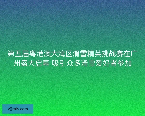 第五届粤港澳大湾区滑雪精英挑战赛在广州盛大启幕 吸引众多滑雪爱好者参加