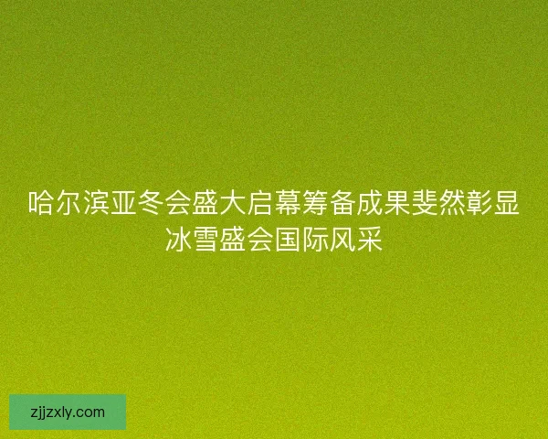 哈尔滨亚冬会盛大启幕筹备成果斐然彰显冰雪盛会国际风采